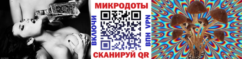 Галлюциногенные грибы Psilocybe  Абакан 